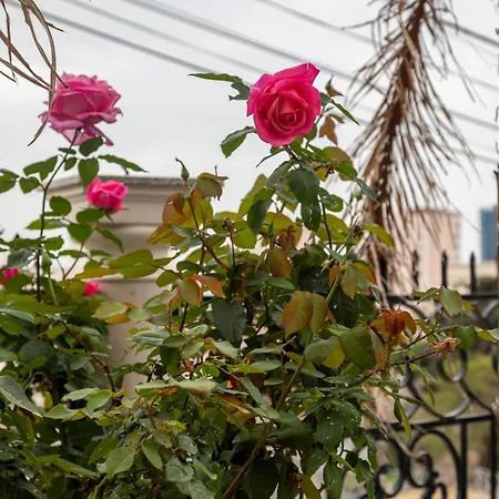 Angoni Pensión Durrës