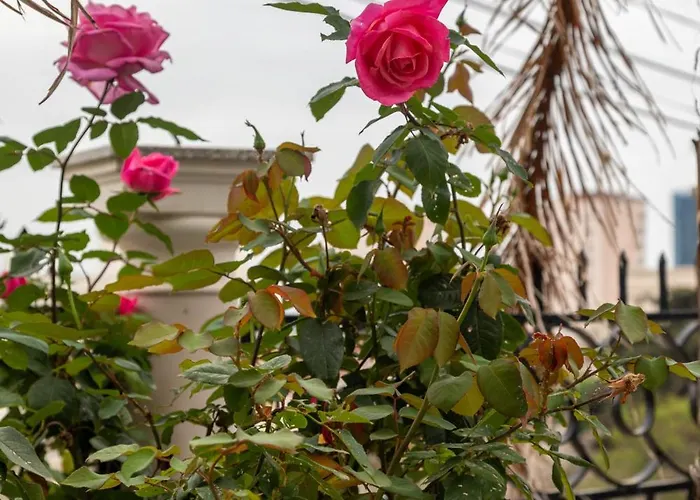 Angoni ゲストハウス ドゥラス